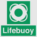 lifebuoy-with-symbol~
